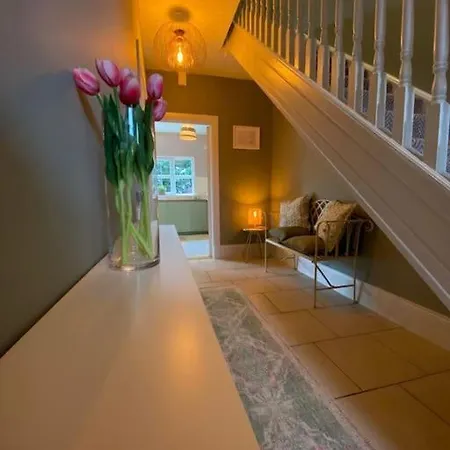 Townside Nest Dingle