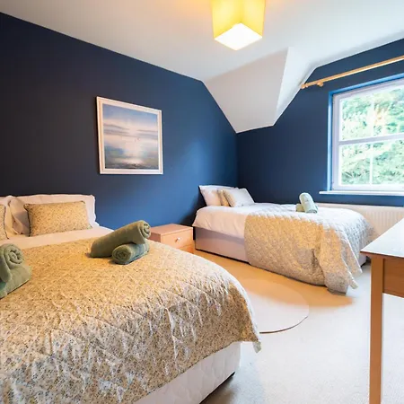 Townside Nest