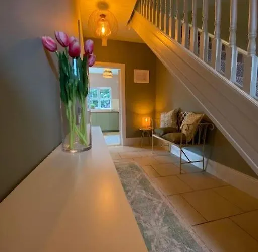 Townside Nest 丁格尔